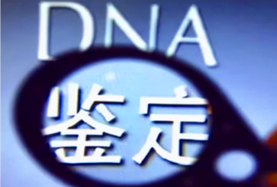 山西省亲子鉴定机构咨询预约,山西省DNA鉴定结果需要多久