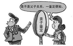 山西省亲子鉴定机构收费标准