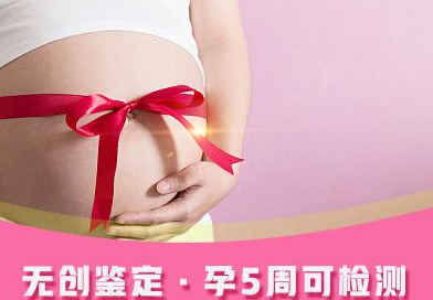 山西省刚怀孕需要如何做孕期亲子鉴定,山西省做无创产前亲子鉴定收费标准 山西省刚怀孕需要如何做孕期亲子鉴定,山西省做无创产前亲子鉴定收费标准