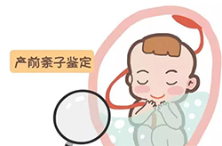山西省怀孕几个月怎么确定孩子生父是谁(预约咨询)