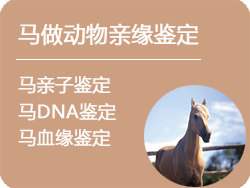 山西省马做动物亲缘鉴定