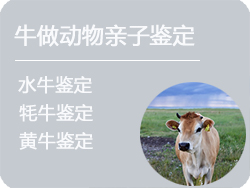 山西省牛做动物亲子鉴定