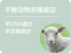 山西省羊做动物亲缘鉴定