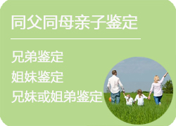 山西省同父同母亲缘鉴定