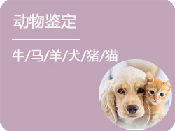 山西省动物鉴定